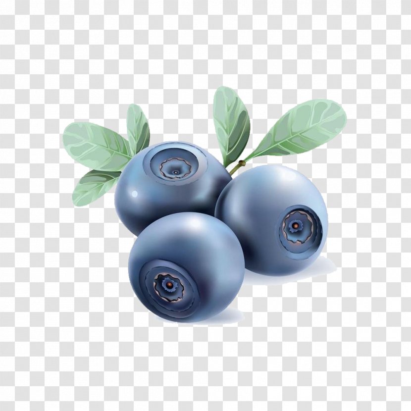 Blueberry Tea Vector Graphics Clip Art - Fruit - Berry Transparent PNG