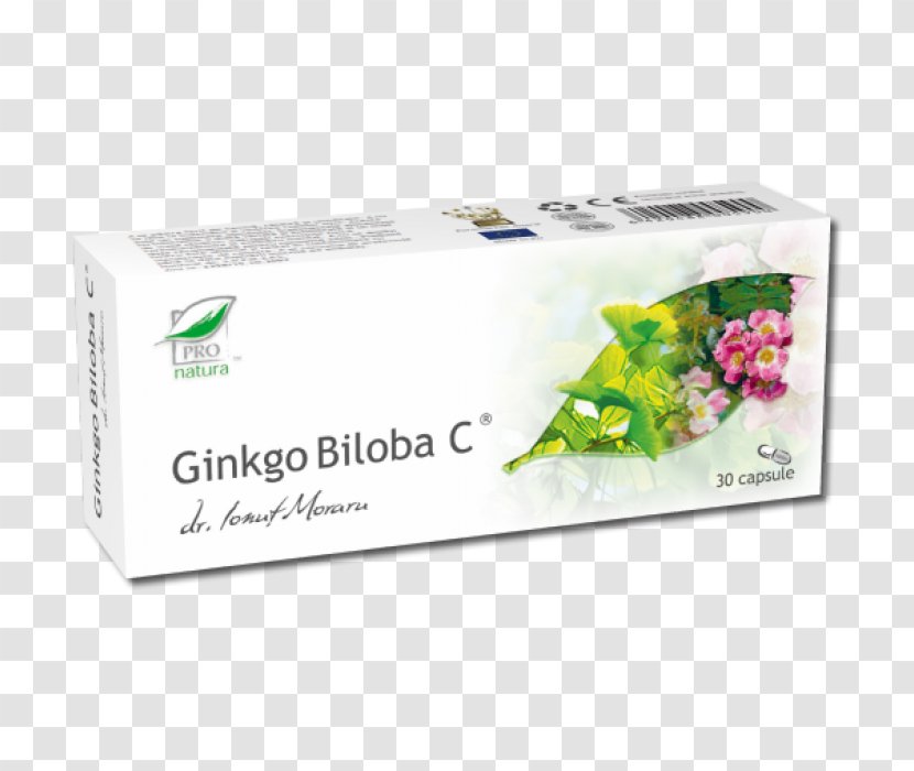 Ginkgo Biloba Plant Damiana Ingredient Elecampane - Ginkgo-biloba Transparent PNG