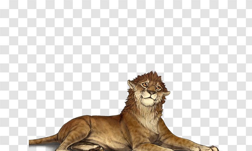 Lion Cheetah Big Cat Male - Female Transparent PNG