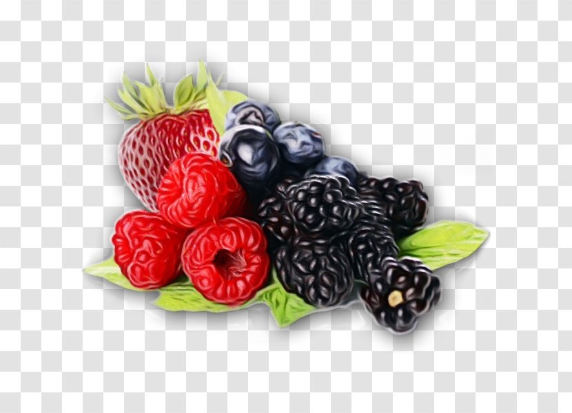 Strawberry Cartoon - Plant - Accessory Fruit Superfood Transparent PNG