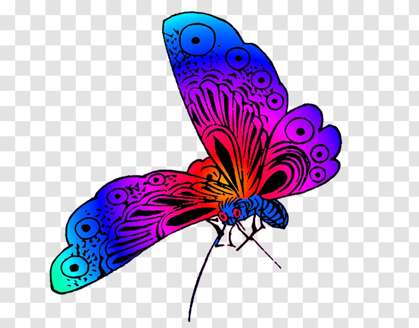 Butterfly Color Clip Art - Moths And Butterflies - Colorful Transparent PNG