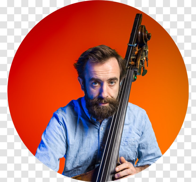 Ben Griffiths Violone Double Bass Violin Cello - Cartoon Transparent PNG