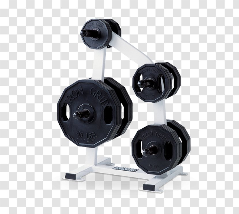 Strength Training Fitness Centre Barbell Weight Physical - Weights Transparent PNG