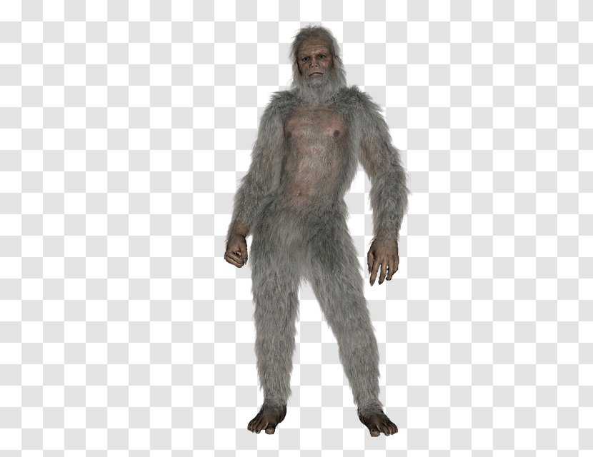 Bigfoot Yeti Paranormal Scientist - Primate - Fact Transparent PNG