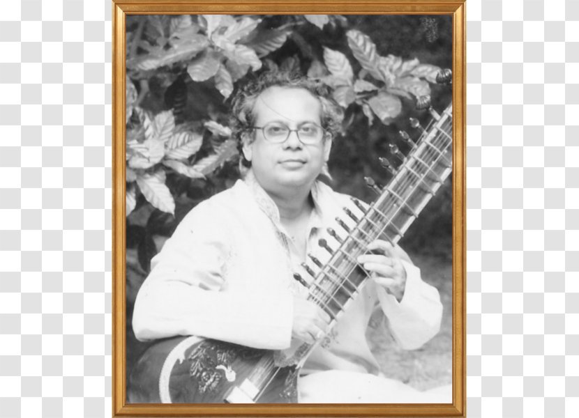 Plucked String Instrument Sitar Photography Picture Frames - Musical Instruments - Pandit Transparent PNG