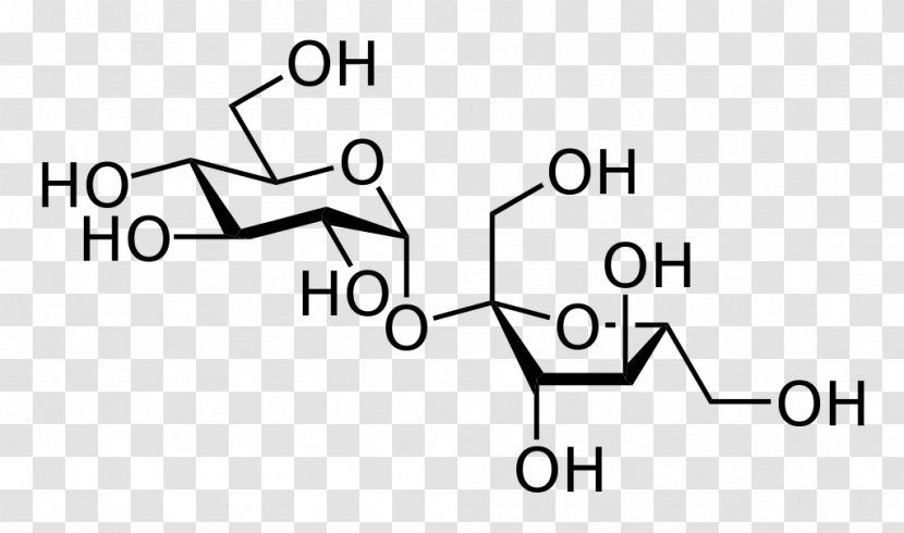 Lactose Sucrose Disaccharide Carbohydrate Monosaccharide - Frame - Sugar Transparent PNG