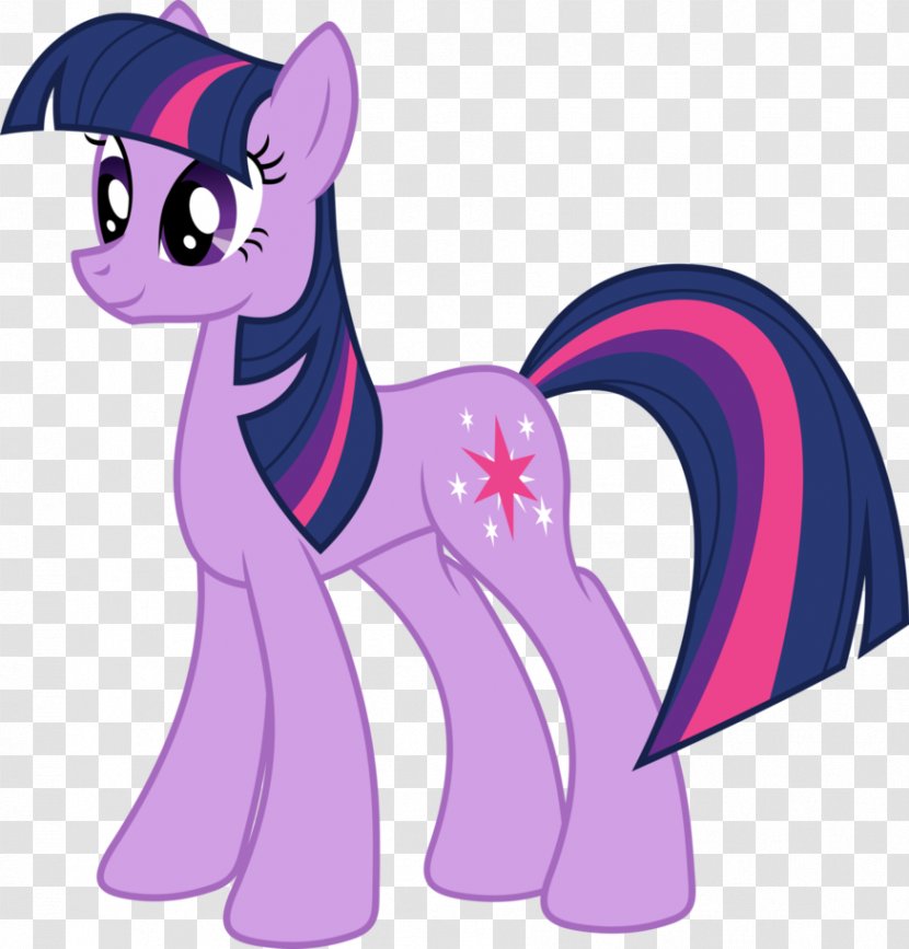 Twilight Sparkle My Little Pony Equestria Winged Unicorn - Vertebrate Transparent PNG