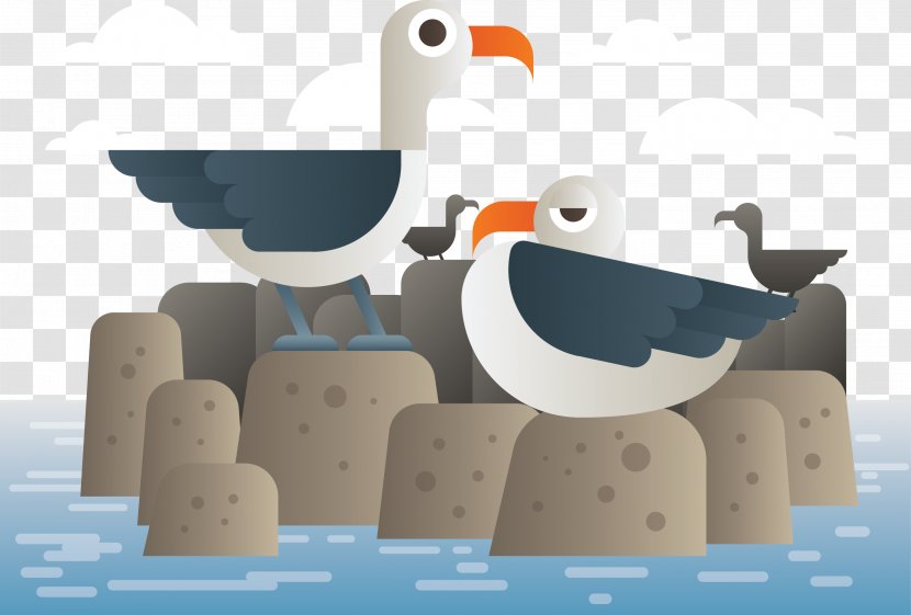 Penguin Illustration - Beak - Seagull Animals In The Water Transparent PNG