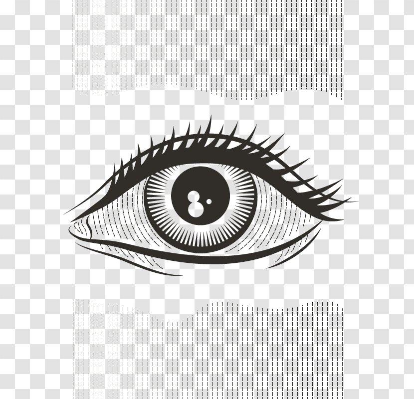 Human Eye Beitxu Studios Visual Perception Science - Brand - Vector Big Eyes Transparent PNG