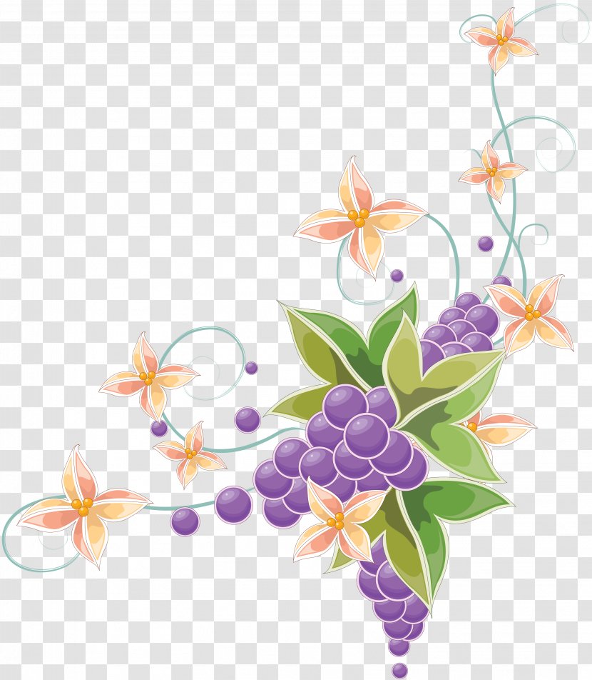 Wine Grape Vine Flower - Plant Transparent PNG