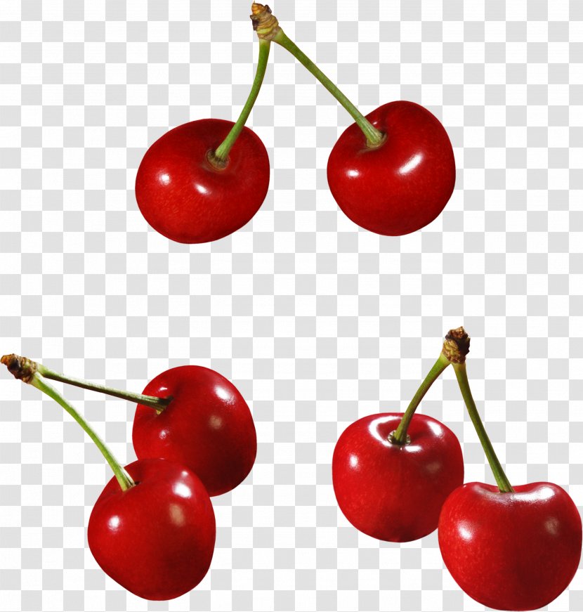 Cherry Cerasus Berry - Frutti Di Bosco Transparent PNG