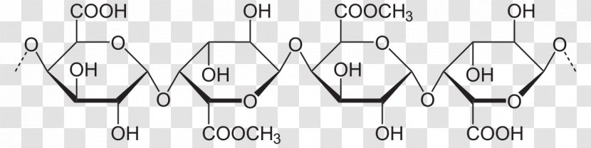 Amylopectin Amylose Polysaccharide Starch - Flower - Frame Transparent PNG