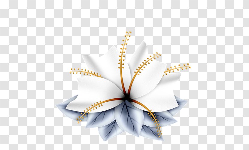 Petal Drawing Flower Transparent PNG