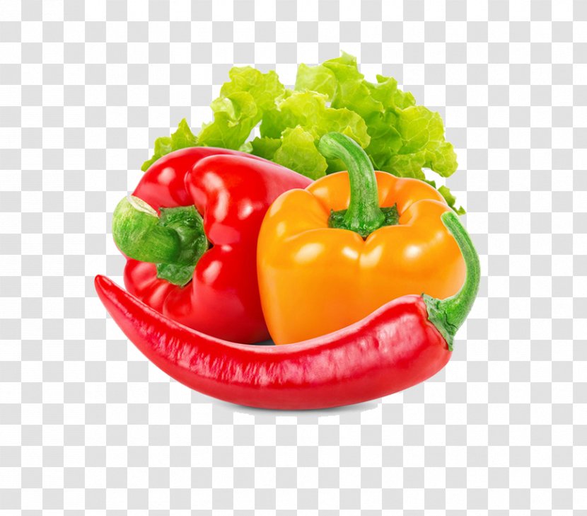Bell Pepper Vegetable Cooking Food Fruit - Peppers - Red And Other Vegetables Transparent PNG