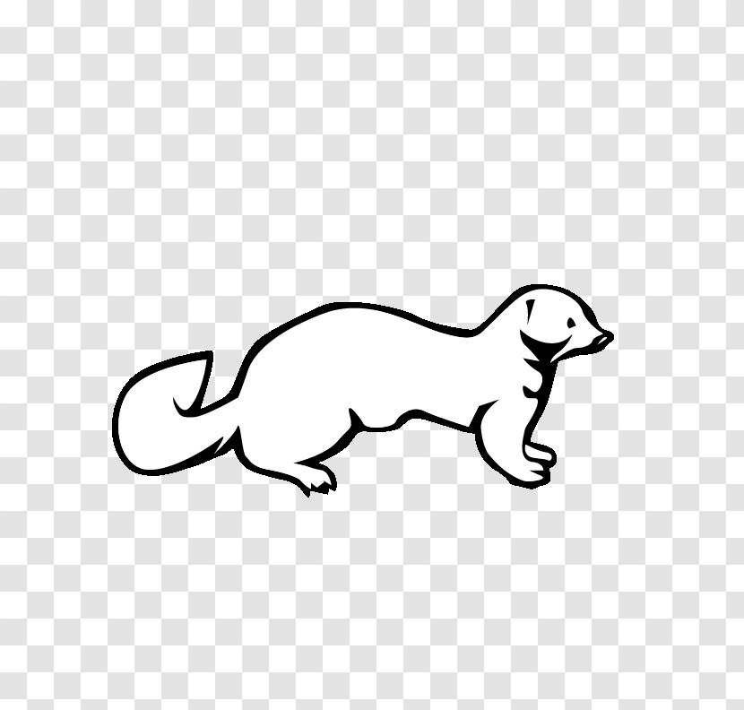 Weasels Mink Ferret Clip Art - Cat Transparent PNG