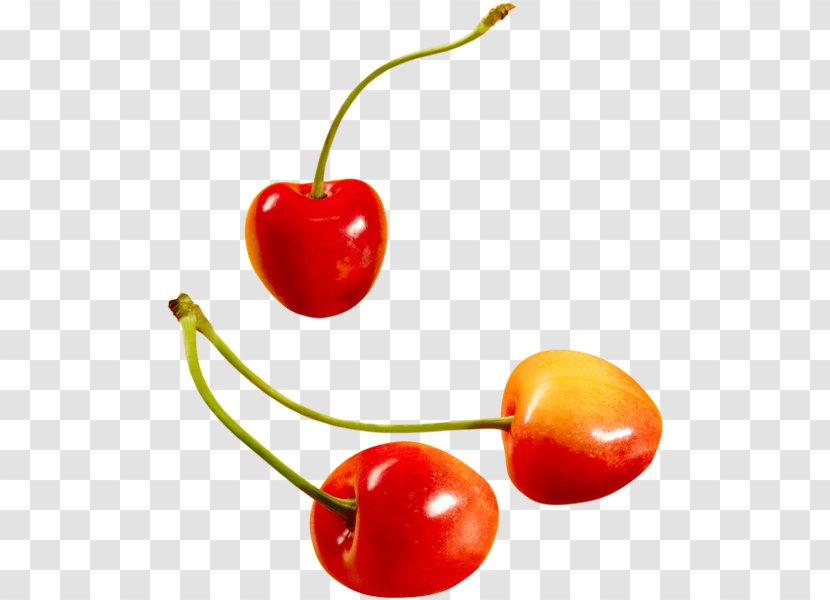 Sweet Cherry Black Forest Gateau Cerasus - Superfood Transparent PNG