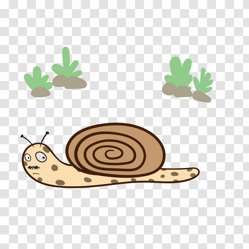 Gastropods Snail Snail Vector Slug Transparent PNG