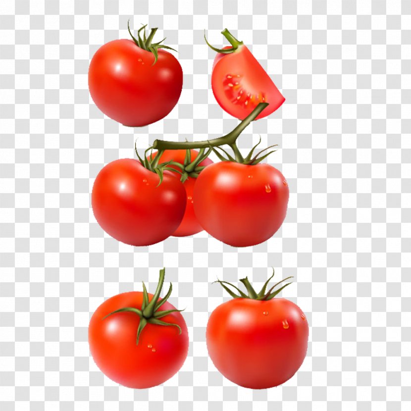 Tomato Vegetable - Fruit - Nutrition Transparent PNG