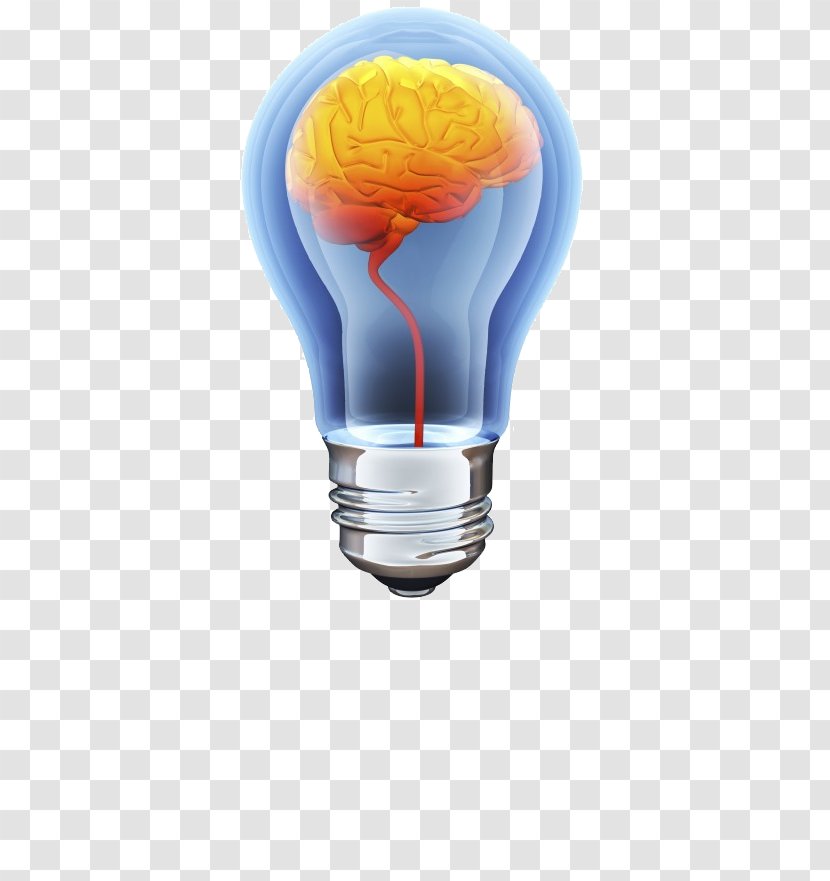 Human Brain Incandescent Light Bulb Stock Photography - Shutterstock - Creative Transparent PNG