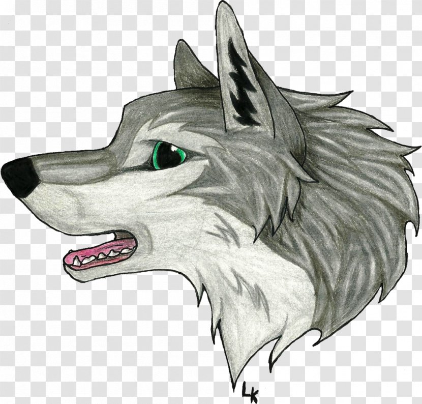 Gray Wolf Snout Legendary Creature Sketch - Tail Transparent PNG