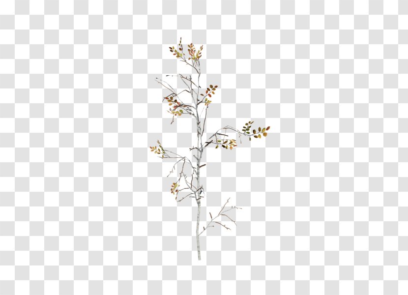 Winter Tree - North America - Leaf Transparent PNG