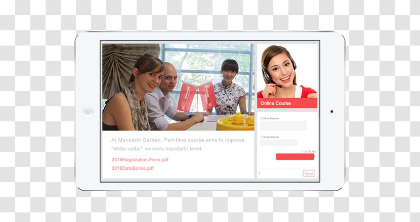 Brand Service Conversation - Display Advertising - Student Visa Transparent PNG