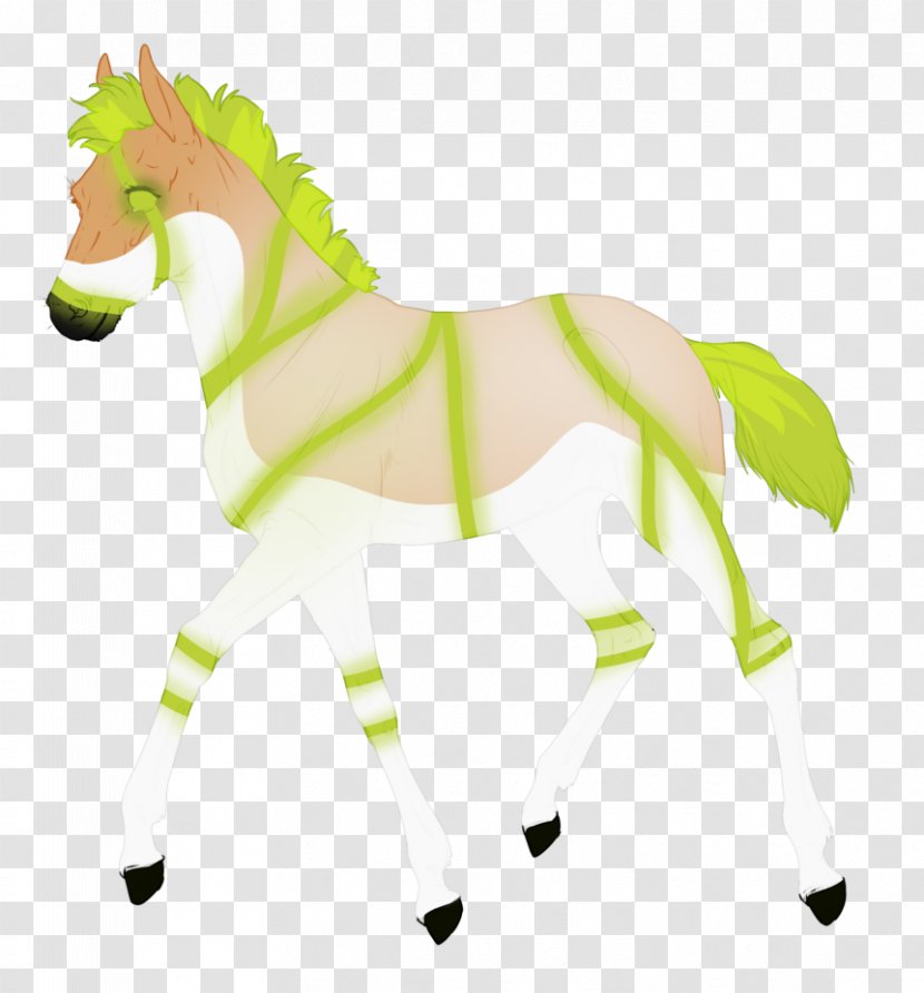Pony Mustang Stallion Halter Mane - Character Transparent PNG