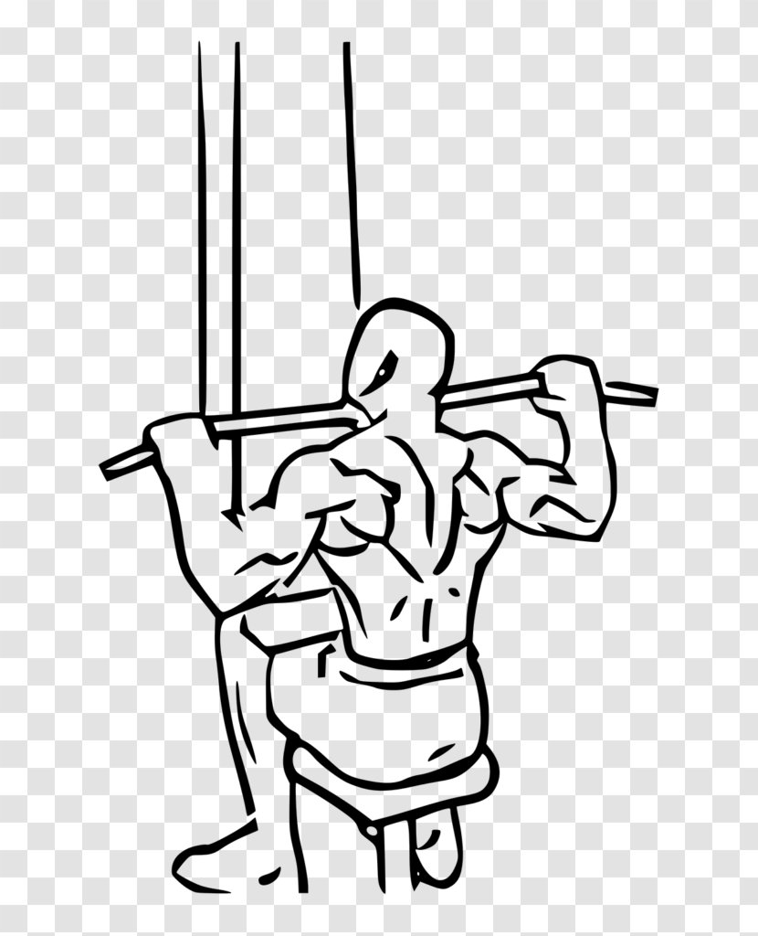Pulldown Exercise Pull-up Strength Training Fitness Centre - Thumb - Deltoid Muscle Transparent PNG