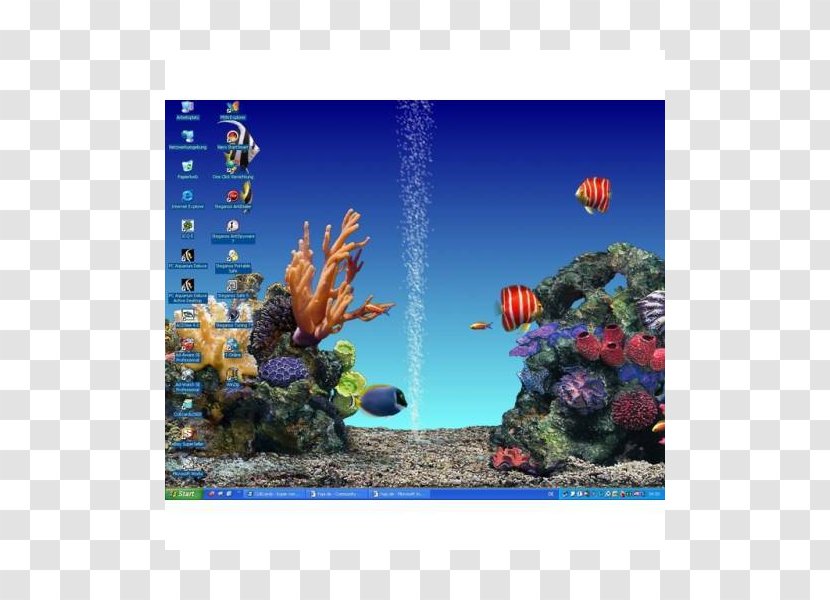 Coral Reef Fish Majorelle Blue Ecosystem Garden - Wen Der Wind Liebt Transparent PNG