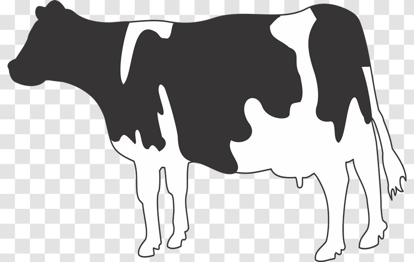 Jersey Cattle Holstein Friesian Belgian Blue Dairy Water Buffalo - Breed - Cow Transparent PNG