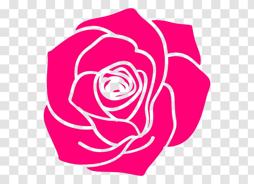 Garden Roses Illustration Clip Art Floral Design - Pink - Rose Family Transparent PNG