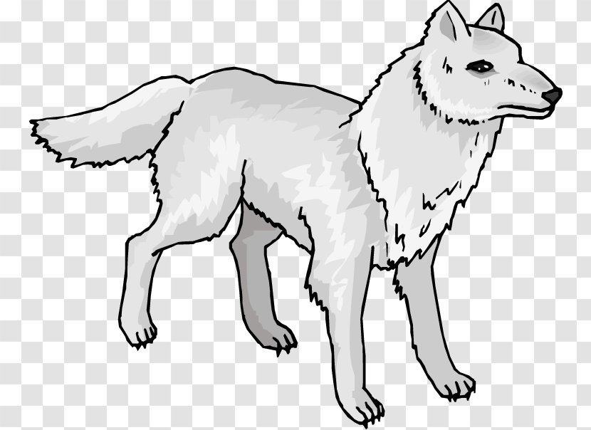 Arctic Wolf Mexican Fox Clip Art - Snow Seal Cliparts Transparent PNG