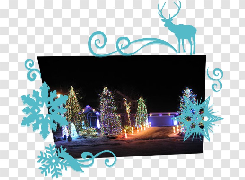 Waconia Christmas Lights Holiday - Shia Labeouf Transparent PNG