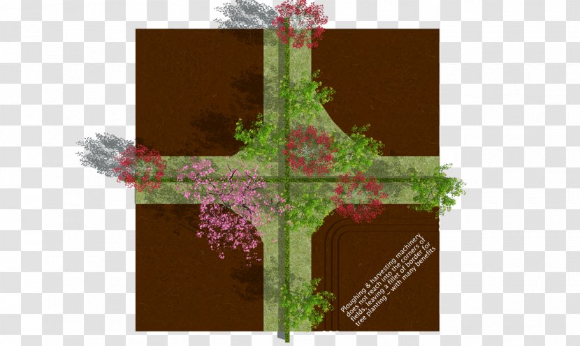 Floral Design Religion Plant Stem Transparent PNG