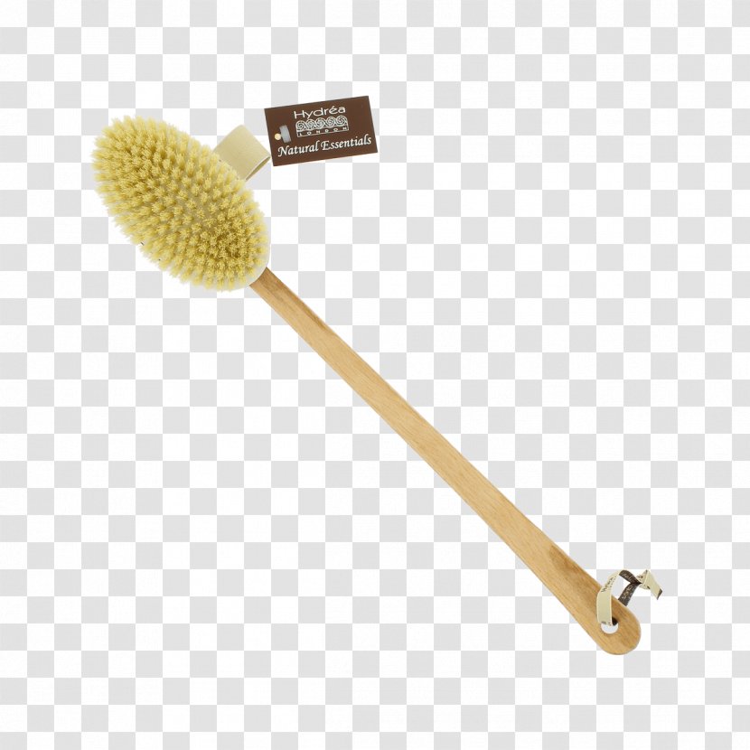 Hydrea Classic Body Brush With Natural Bristle Short Exfoliation - Sponge - Bristles Transparent PNG