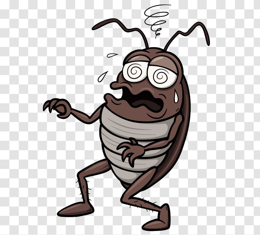 Cockroach Cartoon Royalty-free Clip Art - Dung Beetle Transparent PNG