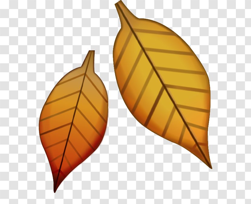 Emoji Sticker Maple Leaf - Smiley - Foggy Transparent PNG