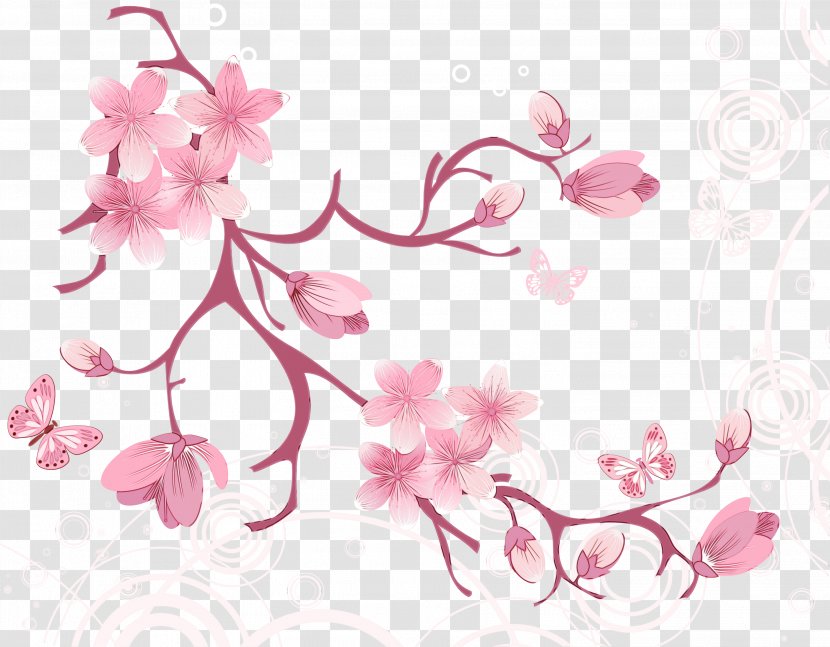 Cherry Blossom - Paint - Pedicel Spring Transparent PNG