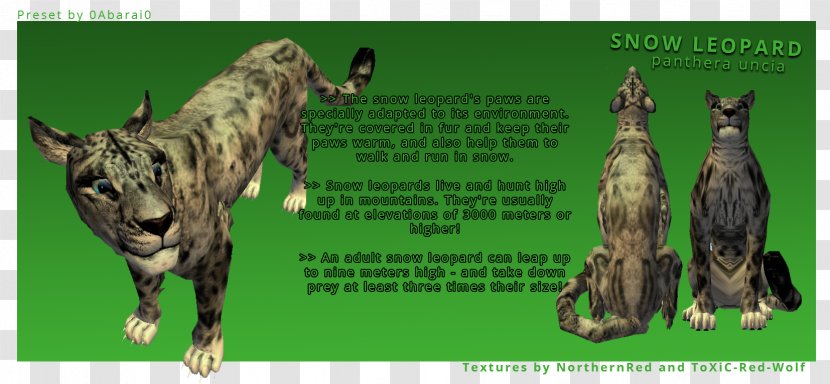 Felidae Cat Gray Wolf Ocelot Snow Leopard Transparent PNG