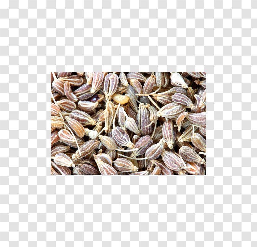 Anise Fennel Seed Spice Flavor - Nuts Seeds - Oil Transparent PNG