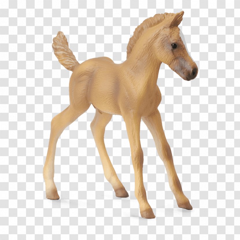 Haflinger Foal Stallion Pony Mare - Animal Figure Transparent PNG