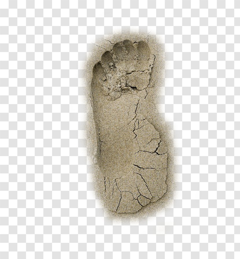 Beach Footprint Sand - Cracked Footprints Transparent PNG