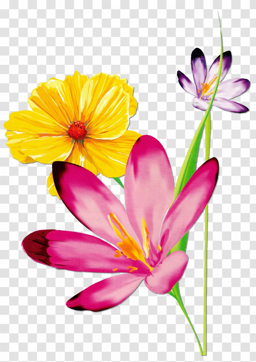 Flower Beautiful Butterfly Image Clip Art Floral Design - Crocus Transparent PNG