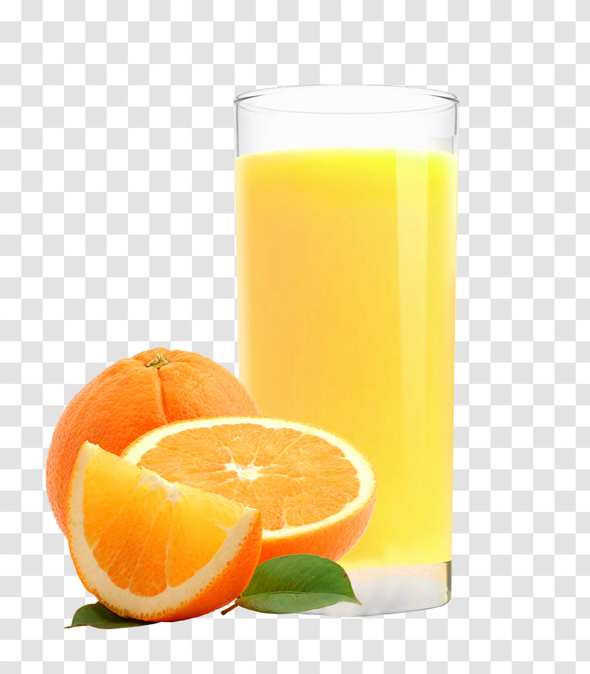 Orange Transparent PNG