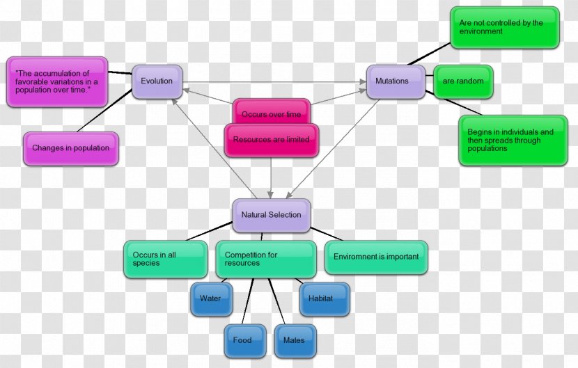 Concept Map Mutation Evolution Transparent PNG