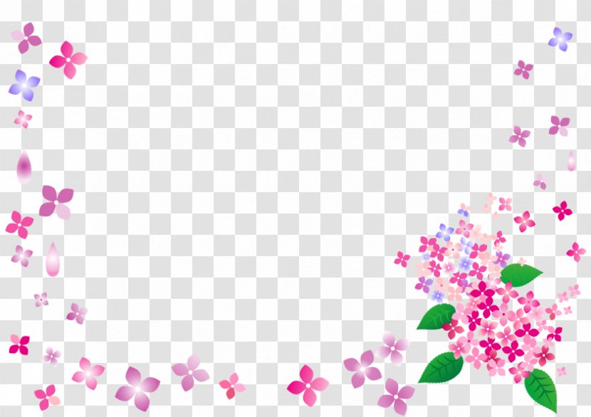 Hydrangea Flower Frame. - Rainbow - Pink Transparent PNG