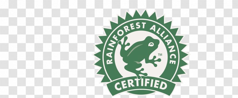 Rainforest Alliance Sustainability Forest Stewardship Council Organization Resort - Emblem - Beans Vector Transparent PNG