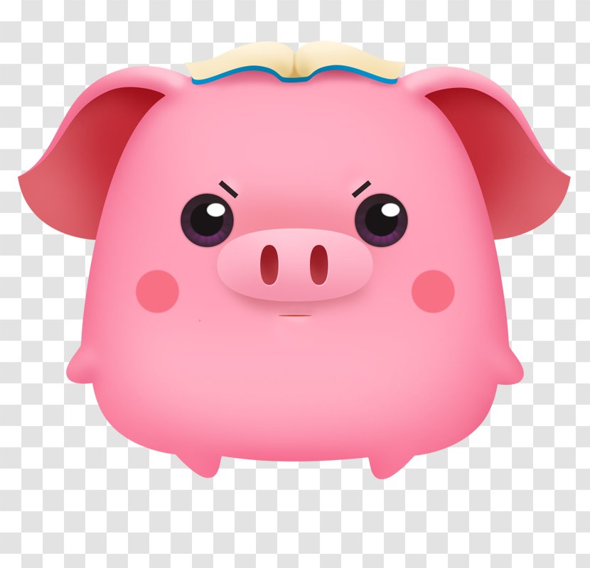 Pig Snout Pink M Transparent PNG