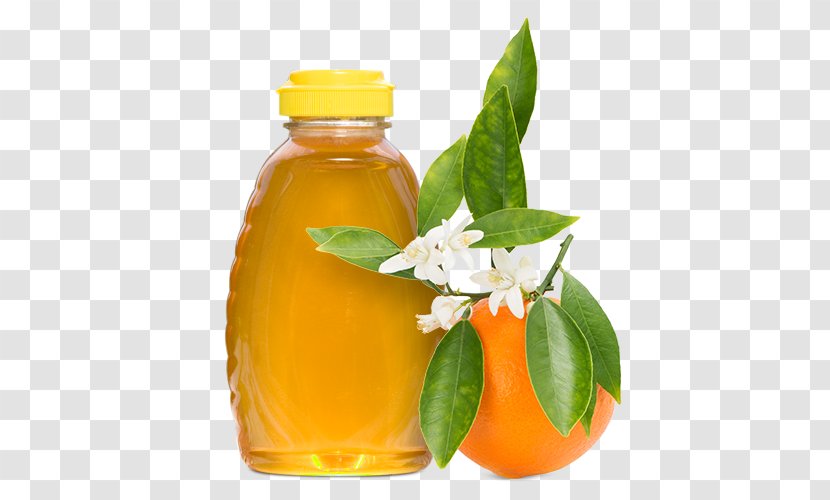 Orange Blossom Juice Flower - Citrus Transparent PNG