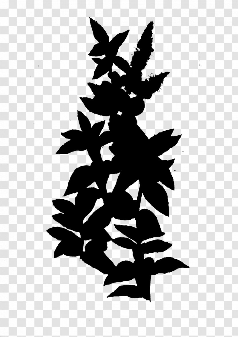 Leaf Flowering Plant Silhouette Font - Vascular Transparent PNG